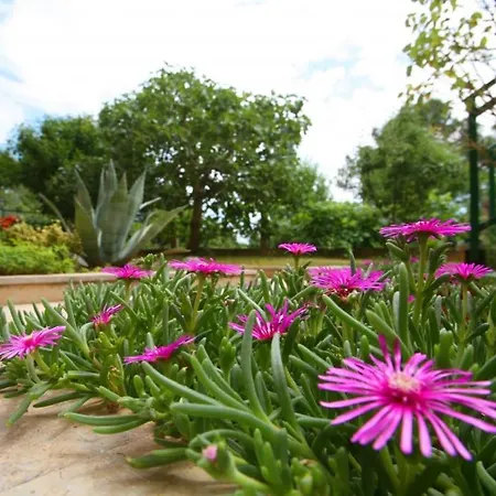 In With Terrace, Wifi דירה