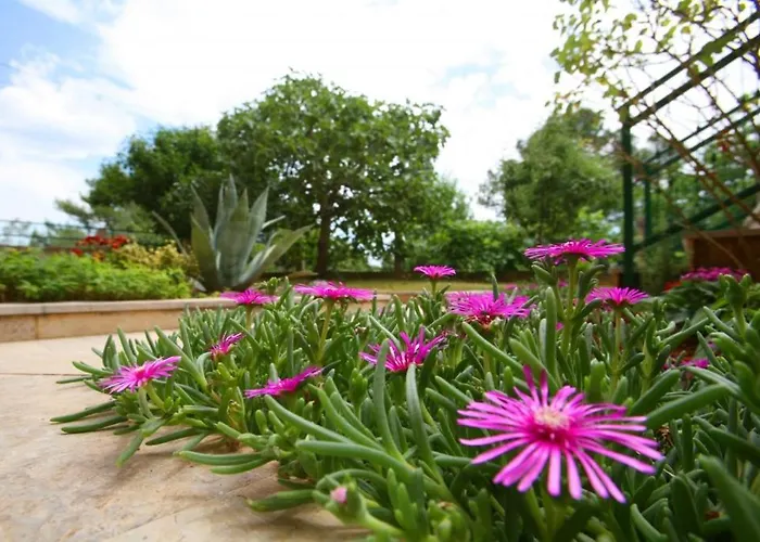 In With Terrace, Wifi דירה