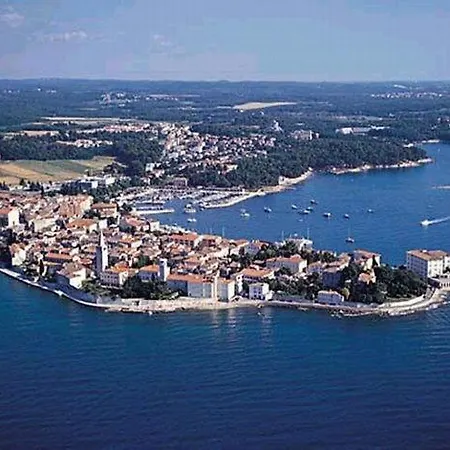 In With Terrace, Wifi 公寓