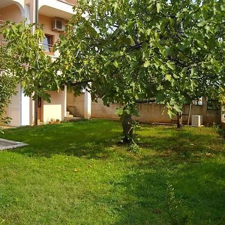 In With Terrace, Wifi 公寓 *